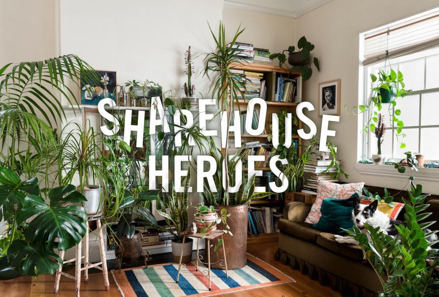 How A Pot Plant Or Five Is Good For You Pursuit By The