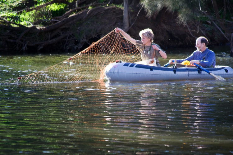 When good rivers go bad: causes and consequences of river avulsions