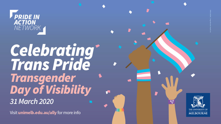 WEBINAR | Transgender and Gender Diverse Health Education: A Review