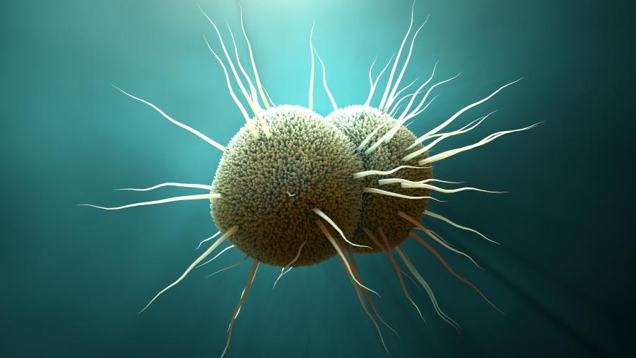 super strain gonorrhea 2014 super strain gonorrhea 2014