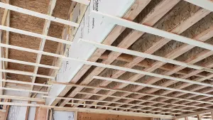 Framing for Roof Snow Drift