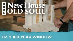 100-Year Window