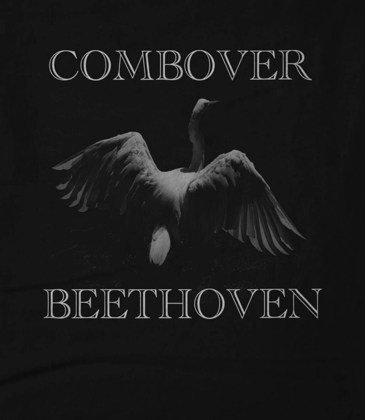 Combover Beethoven