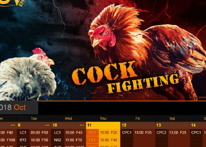 Feature image