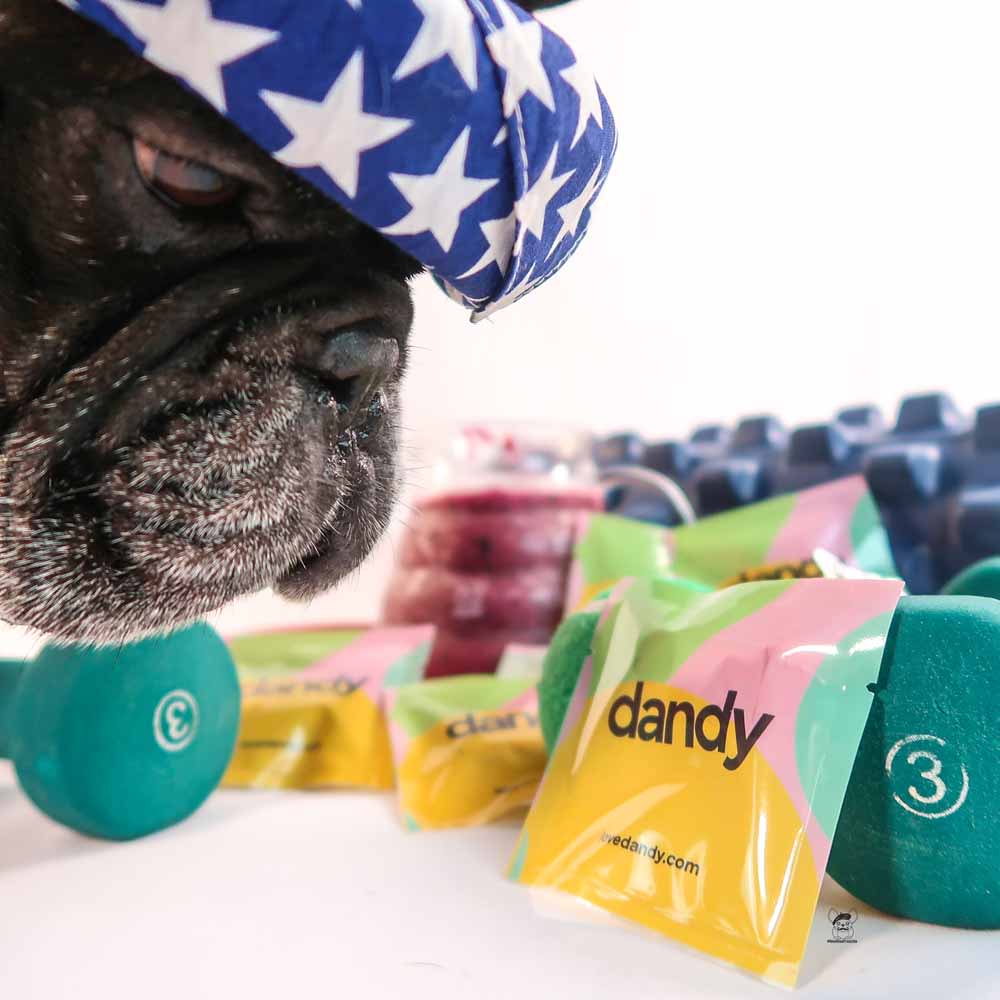Pet Vitamin Supplementation Made Easy by Dandy