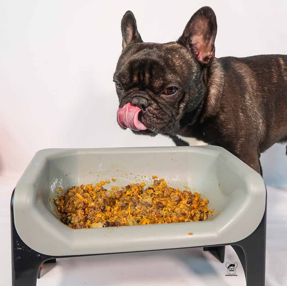 Have You Wanted To Make Your Dog's Food