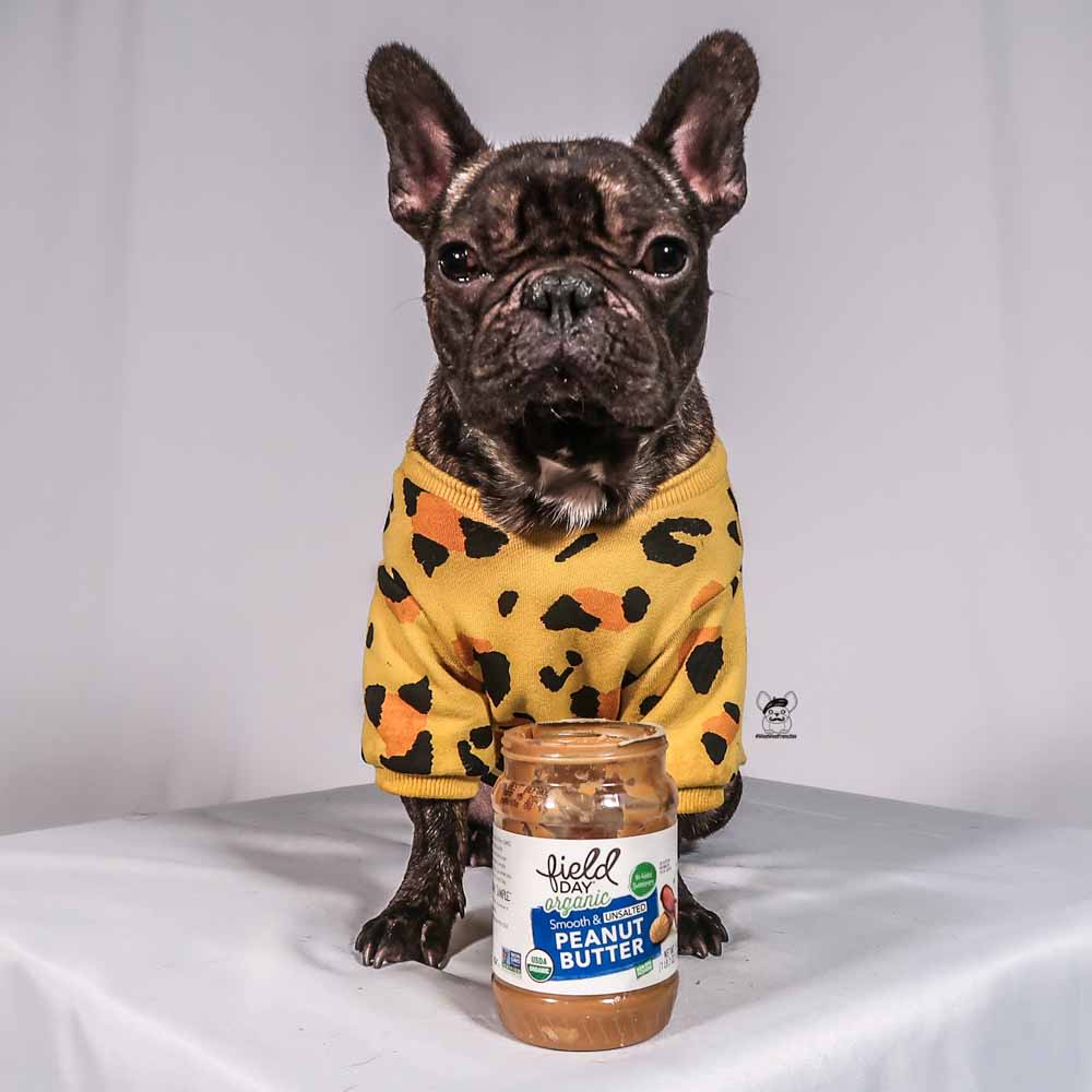 Peanut butter for french 2024 bulldogs