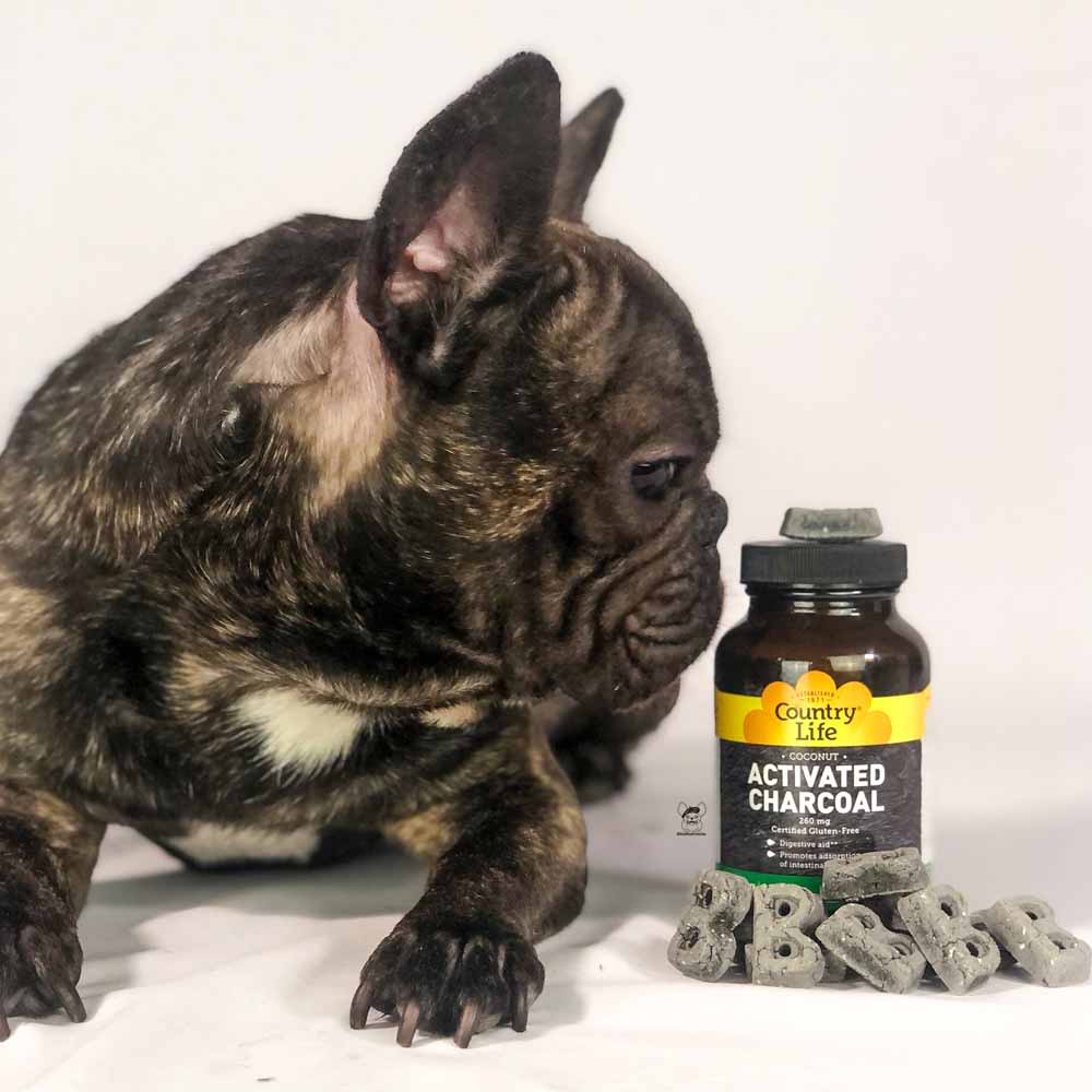 Using Activated Charcoal In Your Dog