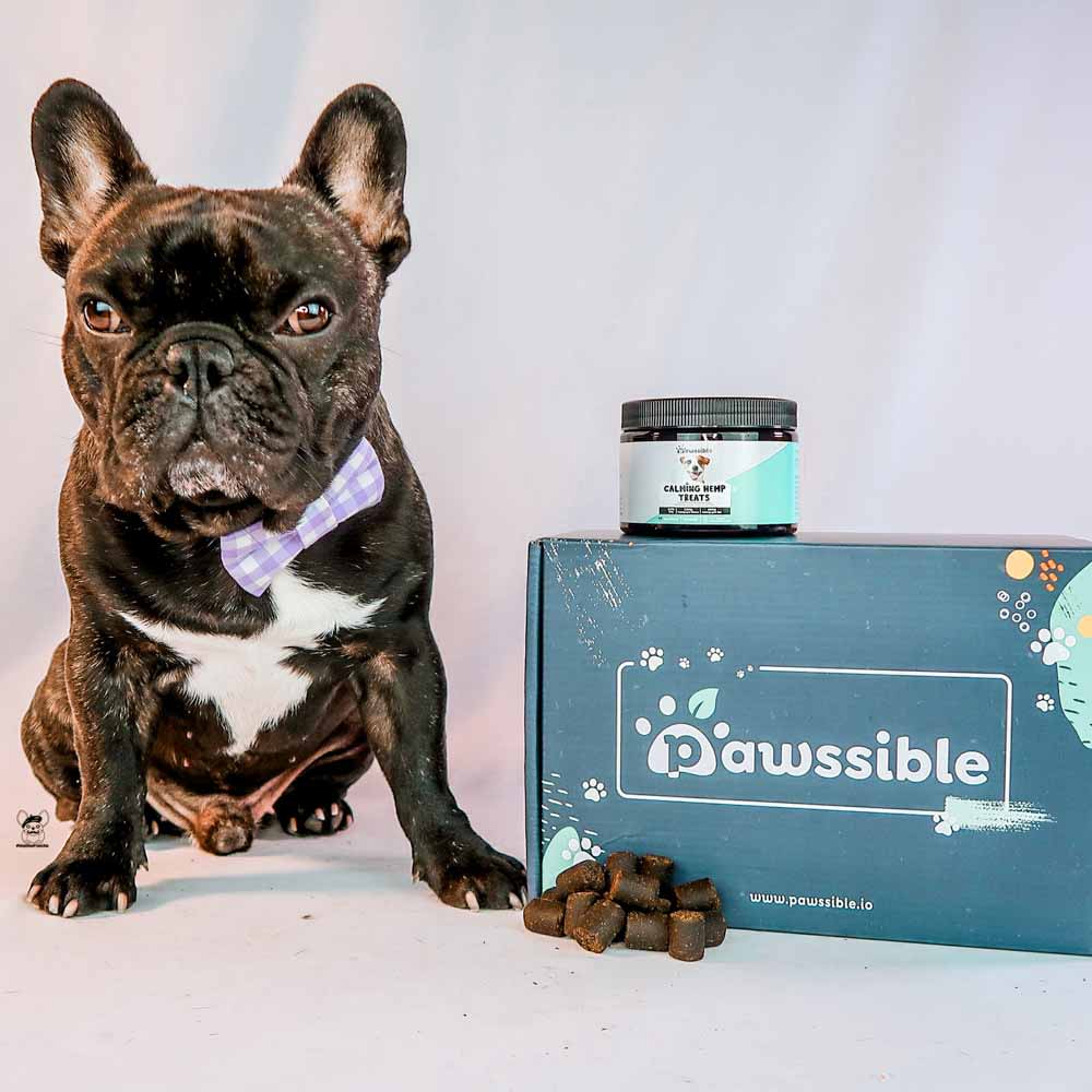 Pawssible Hemp Treats To The Rescue