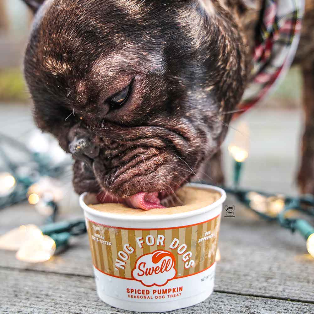 How To Share Some Holiday Cheer With Your Dog - Nog For Dogs
