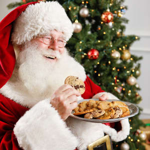 Santa Photos
