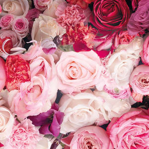 Fragrance Masterclass