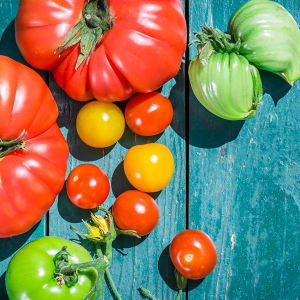 Farmers Market