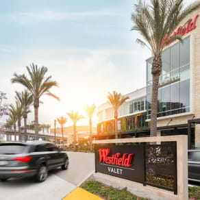 Valet Parking & Auto Detail