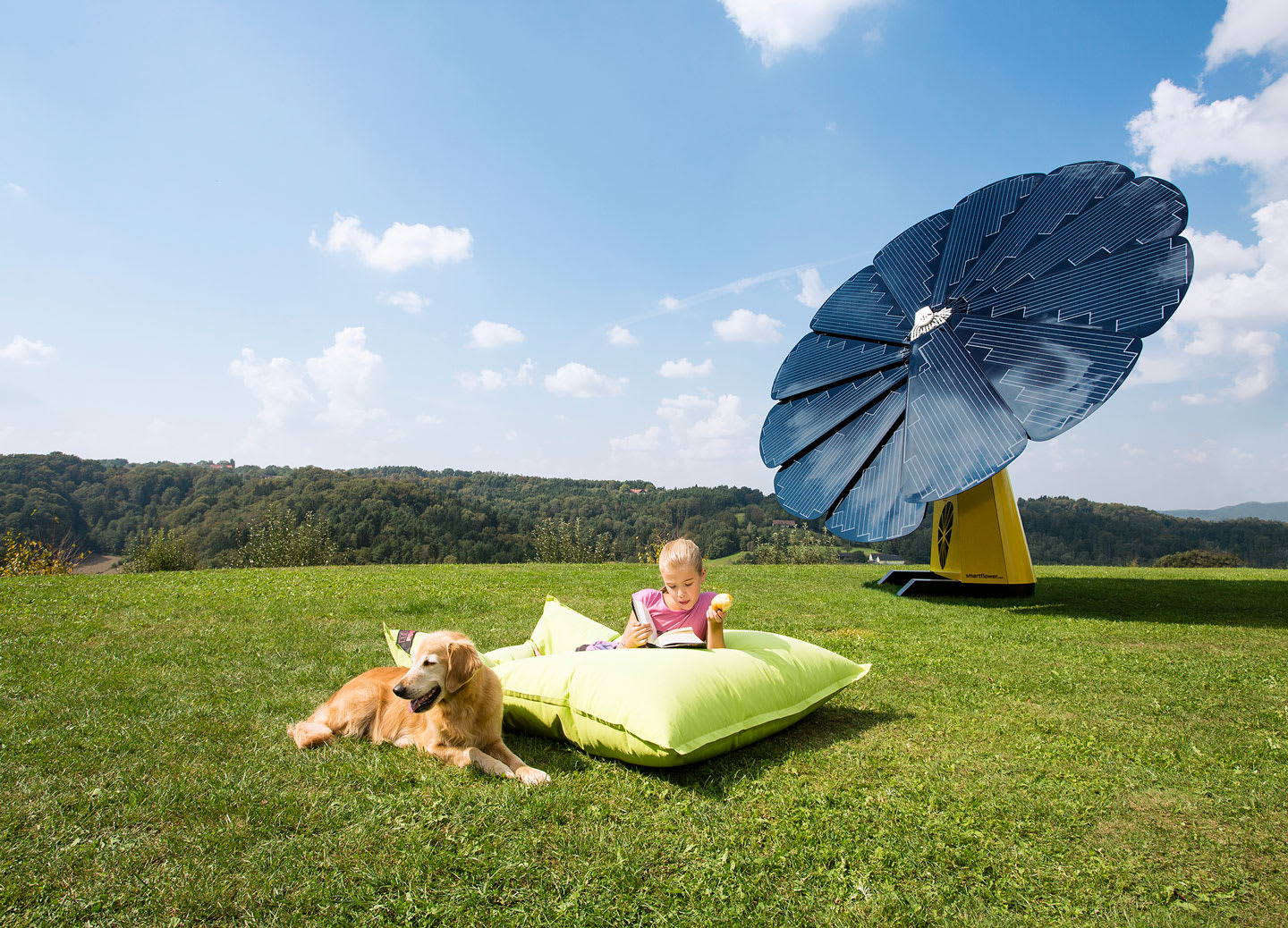 5 Unconventional Solar Panel Designs - Wildgrid Home