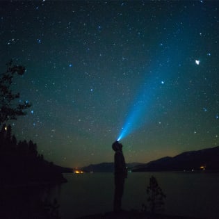 Star-gazer standing near lake at night