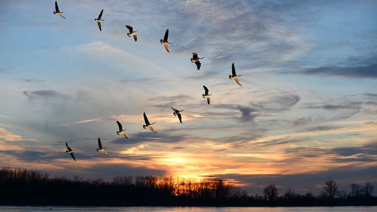 Join Kentico with our new Universal Migration Tool