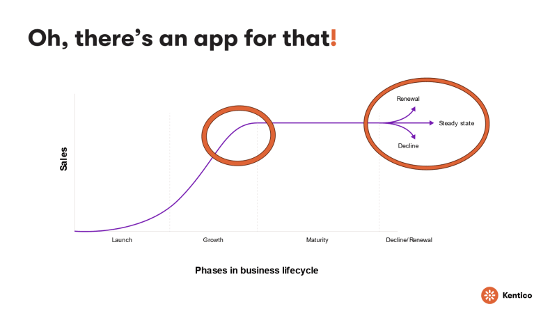 Schema showing what happens when companies reach maturity with a complex tech stack.